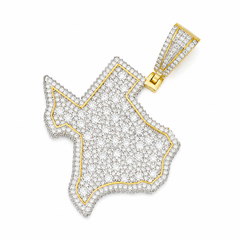 Iced Out Texas Moissanite Pendant | 14K Gold Plated Over 925 Sterling Silver